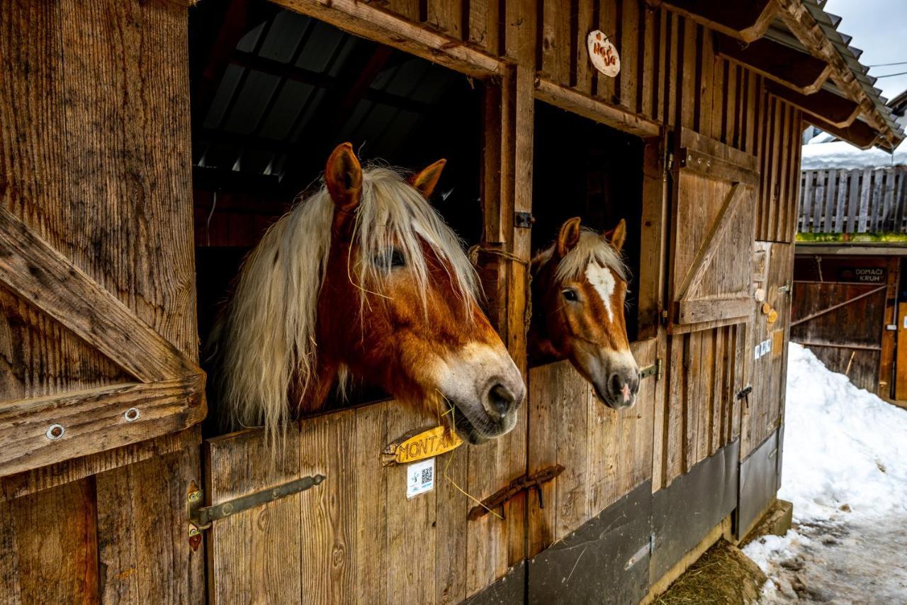 Apartments Farm House Uric Jesenice Zewnętrze zdjęcie